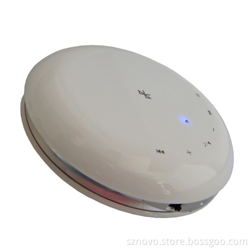 Wireless Bluetooth Speaker with FM/TF/Line in (NV-BS210)